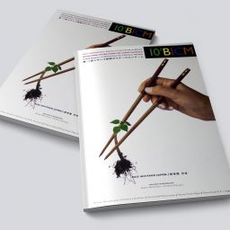 Catálogo Décima BICM