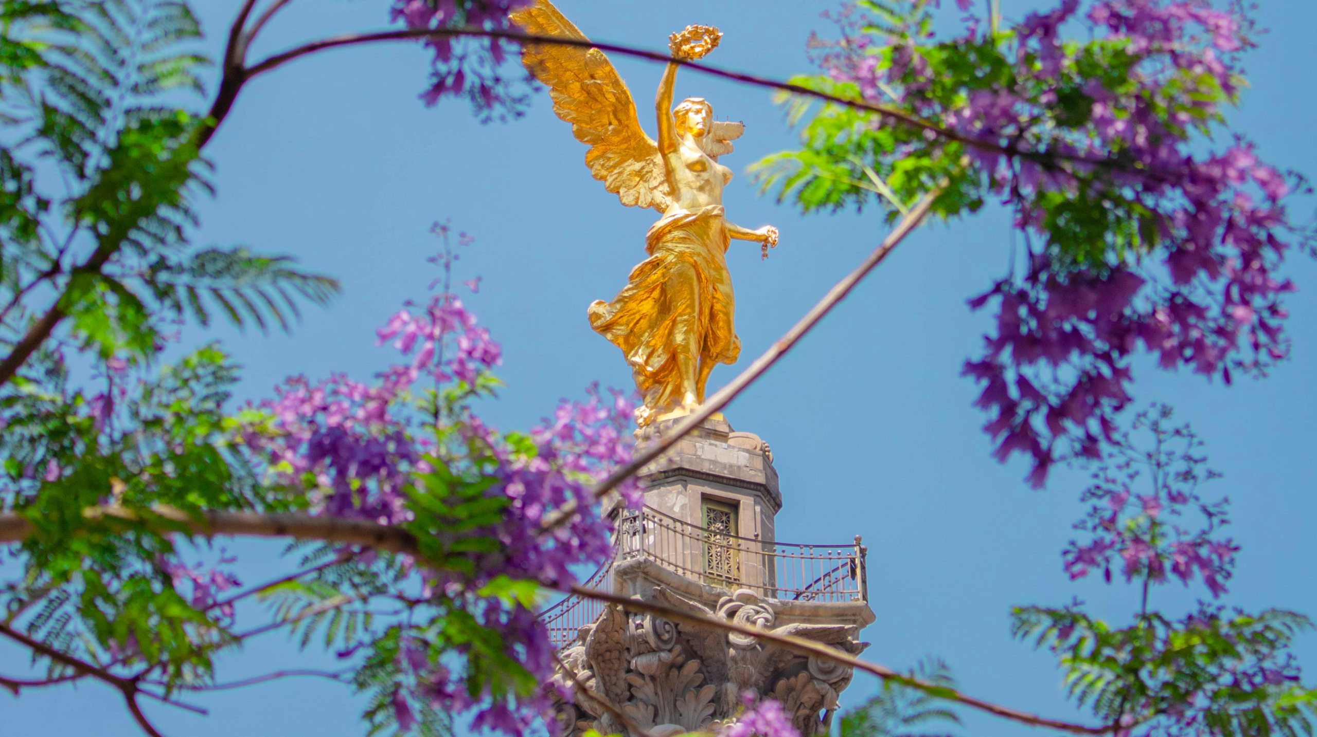 Secretaría de Cultura CDMX